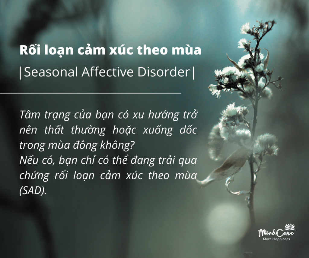 RỐI LOẠN CẢM XÚC THEO MÙA (SAD): Các mùa có thể ảnh hưởng đến tâm trạng và cuộc sống của chúng ta như thế nào?