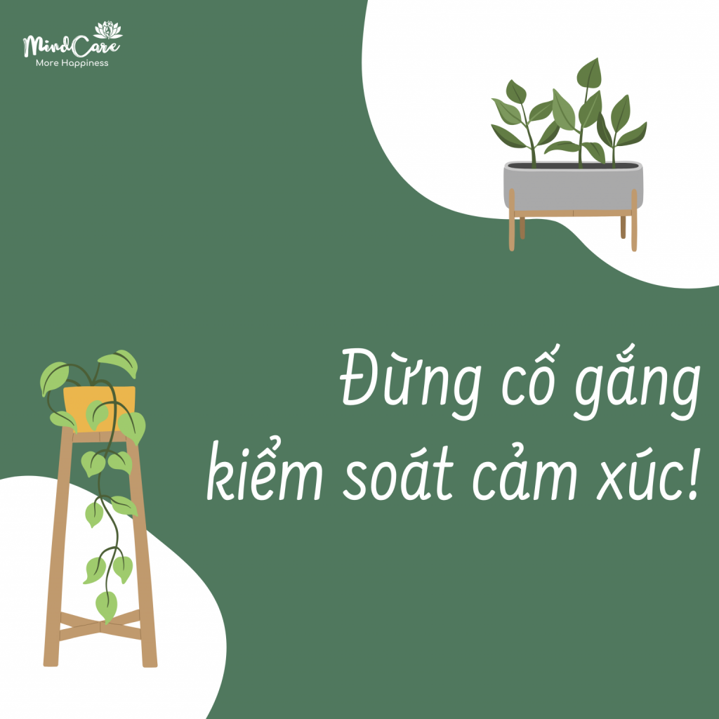 Đừng cố gắng kiểm soát cảm xúc của mình!